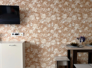 Квартира Студия рядом с Аэропортом на Пискунова