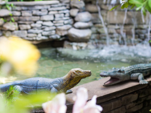 Гостевой Дом Каталония