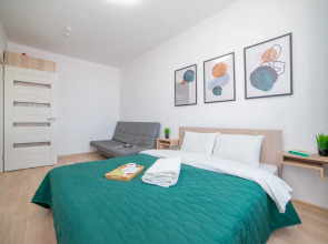 Апартаменты Сурикова 63