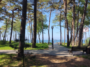 Апартаменты Greenwill 1