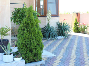 Гостевой дом Ангелина