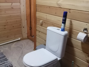 Частный дом у Яблоньки