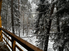 База отдыха Гринвальд 1474