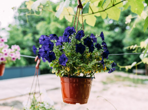 Гостевой дом Камменка