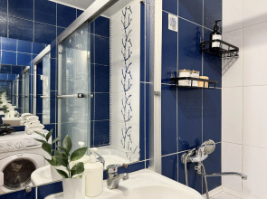 Апартаменты Шикарная со всеми удобствами