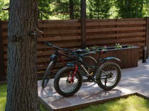 Гостевой дом Шишки