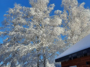 Парк-отель Пихтовый Бор