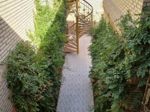 Отель Sasha & Son