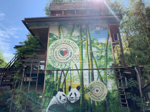 Гостевой Дом Бамбук-Хутор