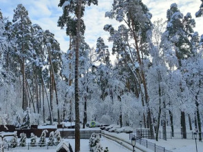 Квартира в сосновом лесу ЖК Гринпарк Солотча