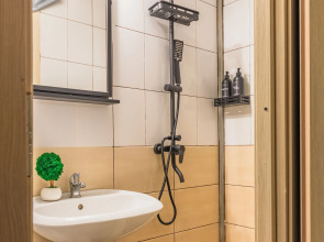 Апартаменты Plaum Hotel Студия 10 на Коломенской