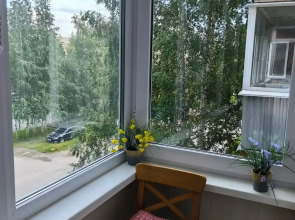 Apartment Апартаменты возле ТЦ Городок