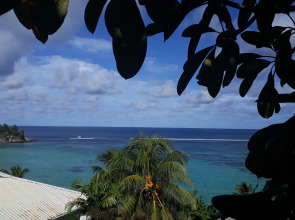 Апартаменты Au Fond De Mer View