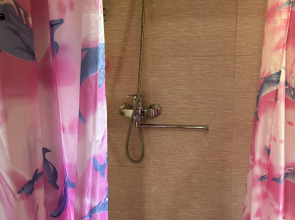 Частный дом Агроусадьба Лесная Тишина в Беловежской пуще