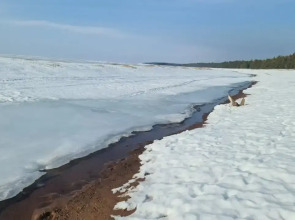 Гостевой дом с сауной вблизи реки и озера Ладоги Лисий берег