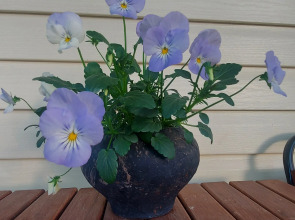 Гостевой Дом Домик с Печкой