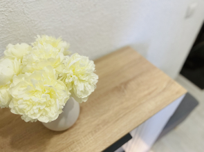 Квартира Atmosfera Sna на Челюскинцев