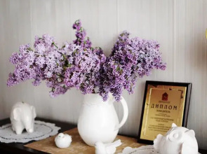 Мини-отель Подсолнухи