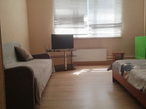 Апартаменты Горького 6/6/4