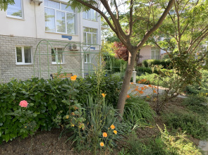 Отель Амалия