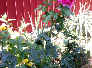 Гостевой дом на Стасова