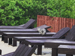 База отдыха Аврора