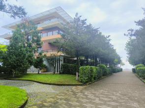 Апартаменты в Дримленд Оазис