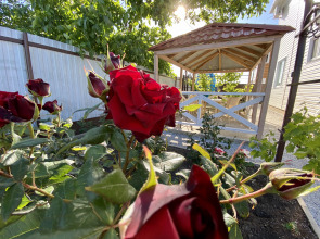 Гостевой дом 38 Попугаев