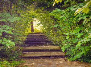 Istanbul Airport Durusu Club Hotel