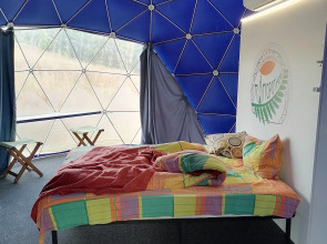 Глэмпинг Папоротник