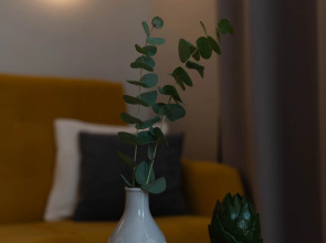 Квартира в 10 Минутах от Центра