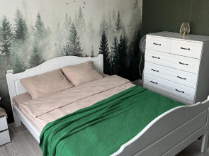 Квартира Мира 8