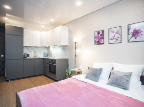 Квартира Стильная студия у Ладожского вокзала