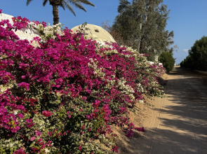 Апартаменты Princess Resort