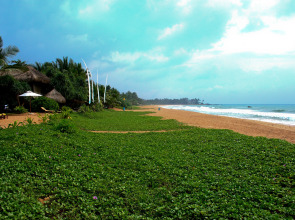 Отель Temple Tree Resort & Spa