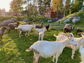 База отдыха Эко Хутор Рай Сяля