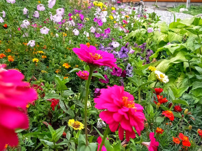 Гостевой Дом Solaris