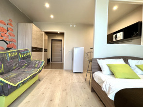 Апартаменты Изящные Kvartiry54