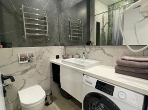 ДзенХоум Отражение 709