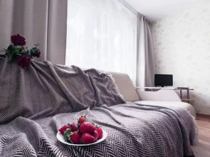 Апартаменты Park Inn Hause 3