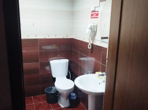 Отель Hotel-Hall