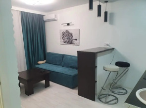 Апартаменты на Пархоменко 2  (305)