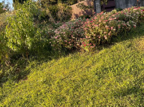 Гостевой дом Абхазская сказка