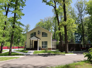 Отель Дубрава