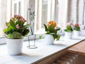 Меблированные комнаты Simple Neo Nevsky