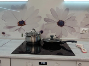 Апартаменты на Борисова 38