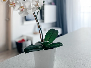 Апартаменты Евродвушка на Овчинникова 18