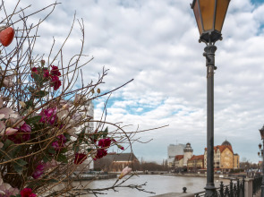 Апартаменты Kenig Holidays в центре в Рыбной Деревне