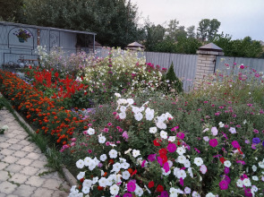 Гостевой дом Спасс