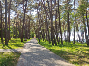 Апартаменты Greenwill 1